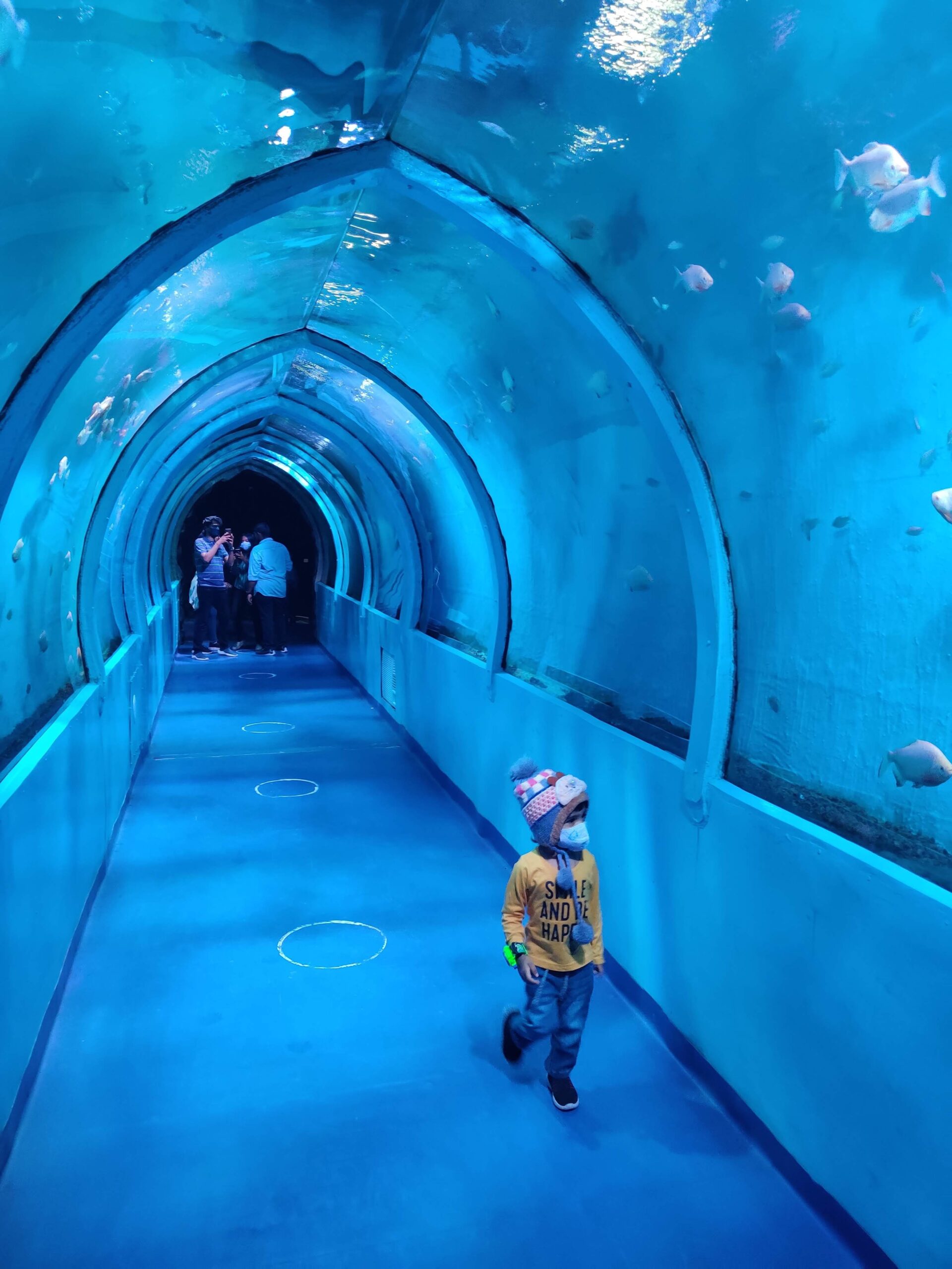 LOKARANJAN AQUA WORLD UNDERWATER ZOO - TriptoMysore